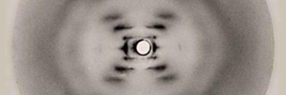 Catarina Osório banner