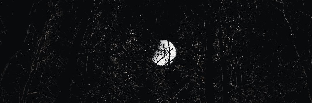 BrandonTuckvr2's profile banner image