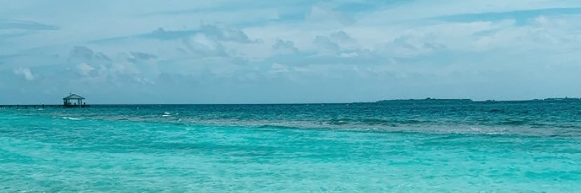 alissss02's profile banner image