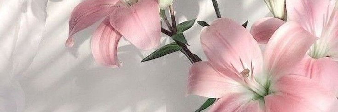 Stunning__Grace's profile banner image