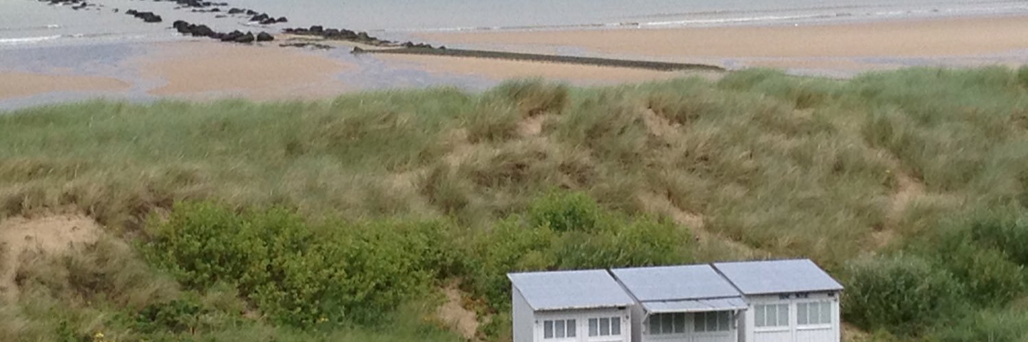 Ellen Dingemans banner