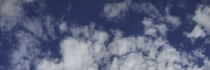 pelinclmsrr's profile banner image