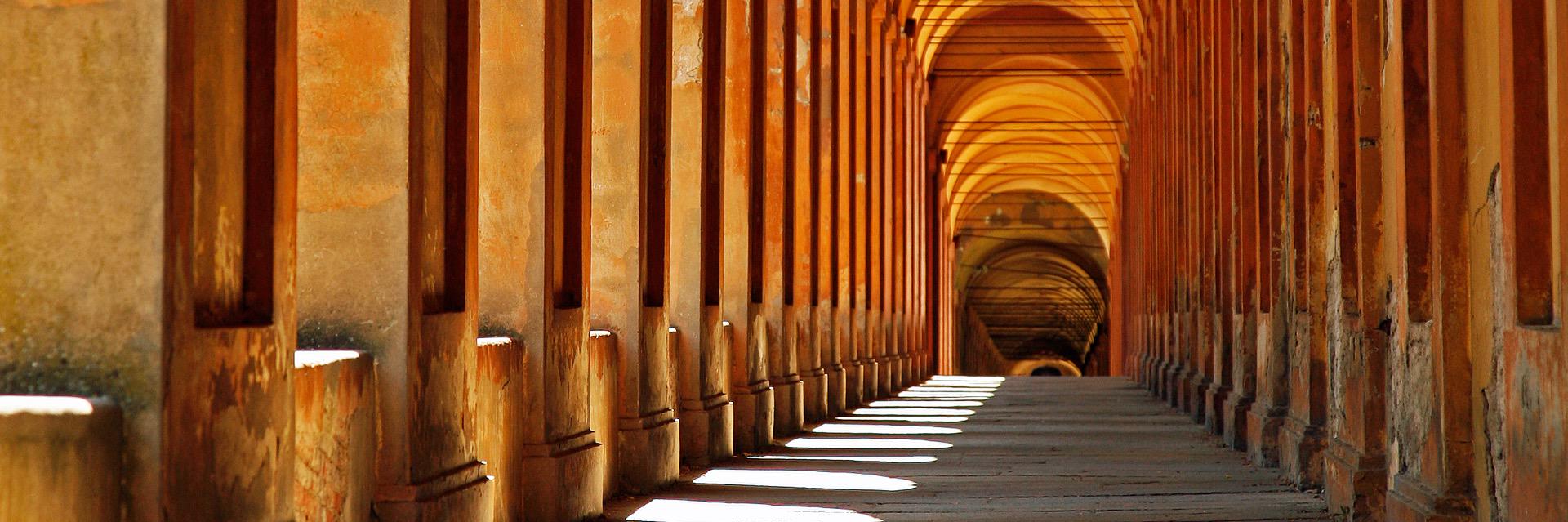 Suzanne Schut banner