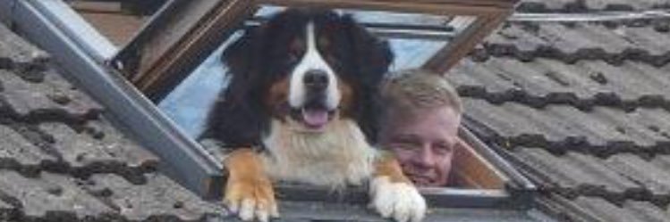 shifty114's profile banner image