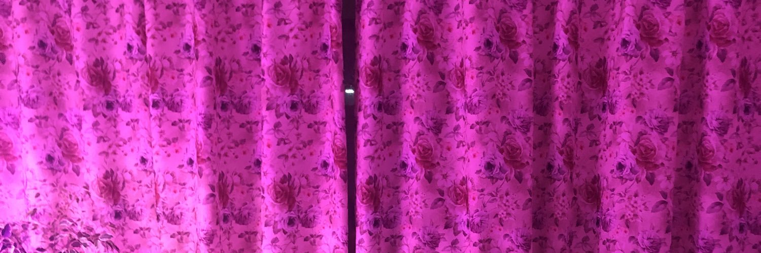 sonya_sev's profile banner image