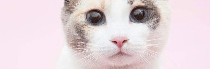 nsfeimn's profile banner image