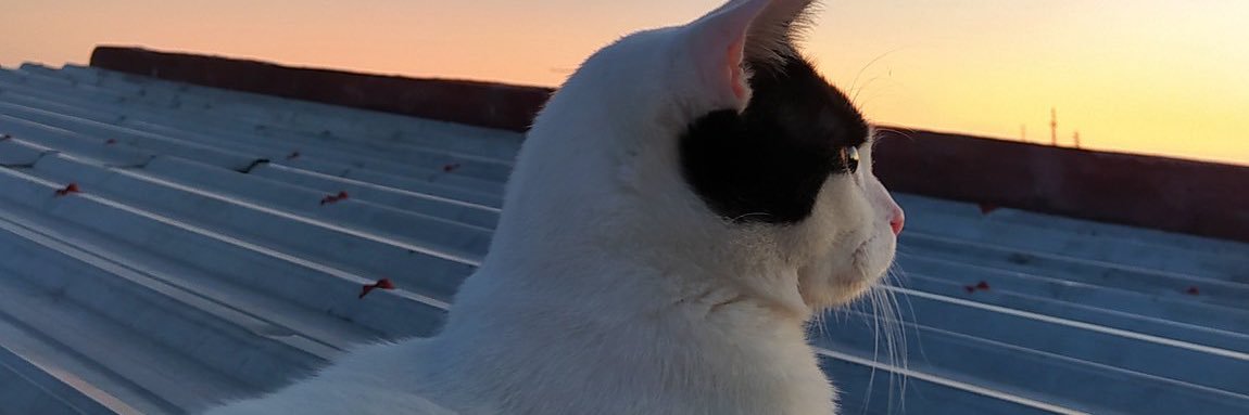 LuwiOcil's profile banner image