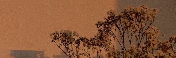 _spring_ruins's profile banner image