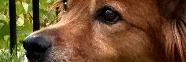 coachstuke Profile Banner