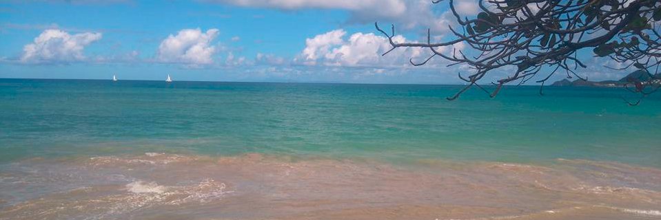 zoe__morris's profile banner image