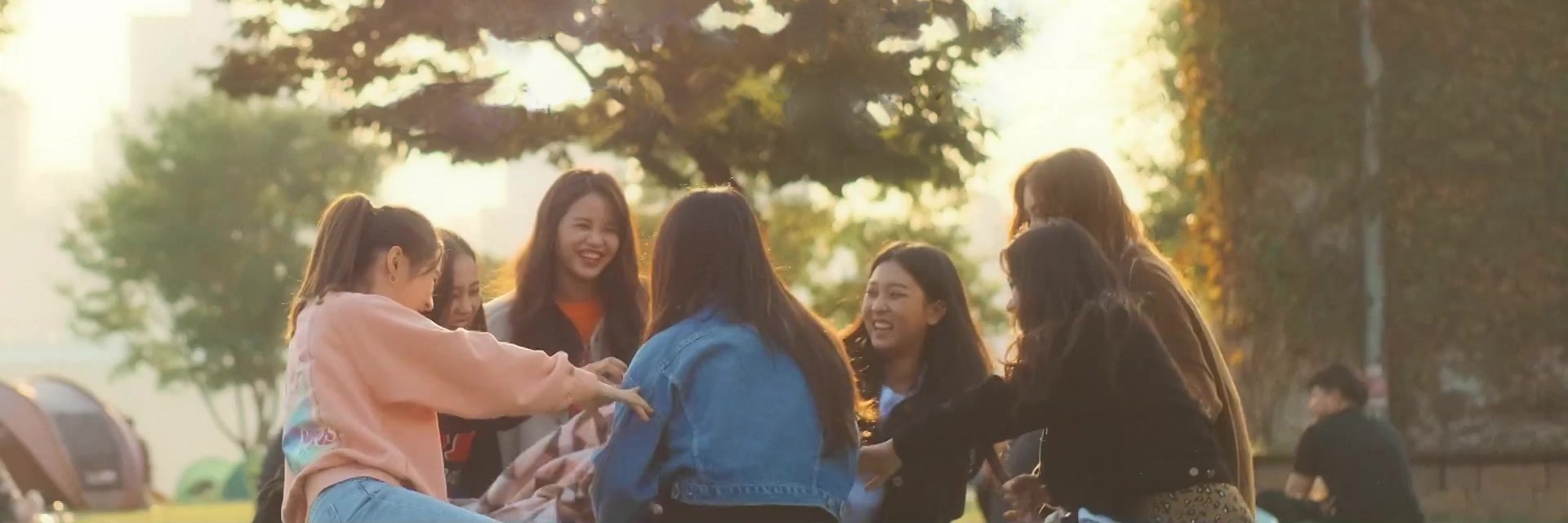 yainturtle's profile banner image