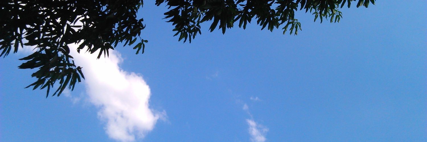 eliuvargas11's profile banner image