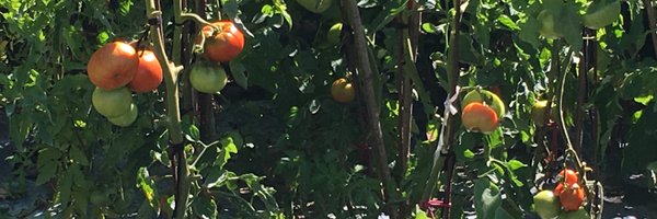 JavierManeken Profile Banner