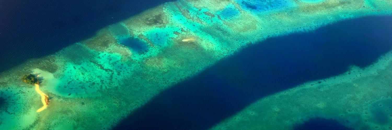 Edvard Hviding banner