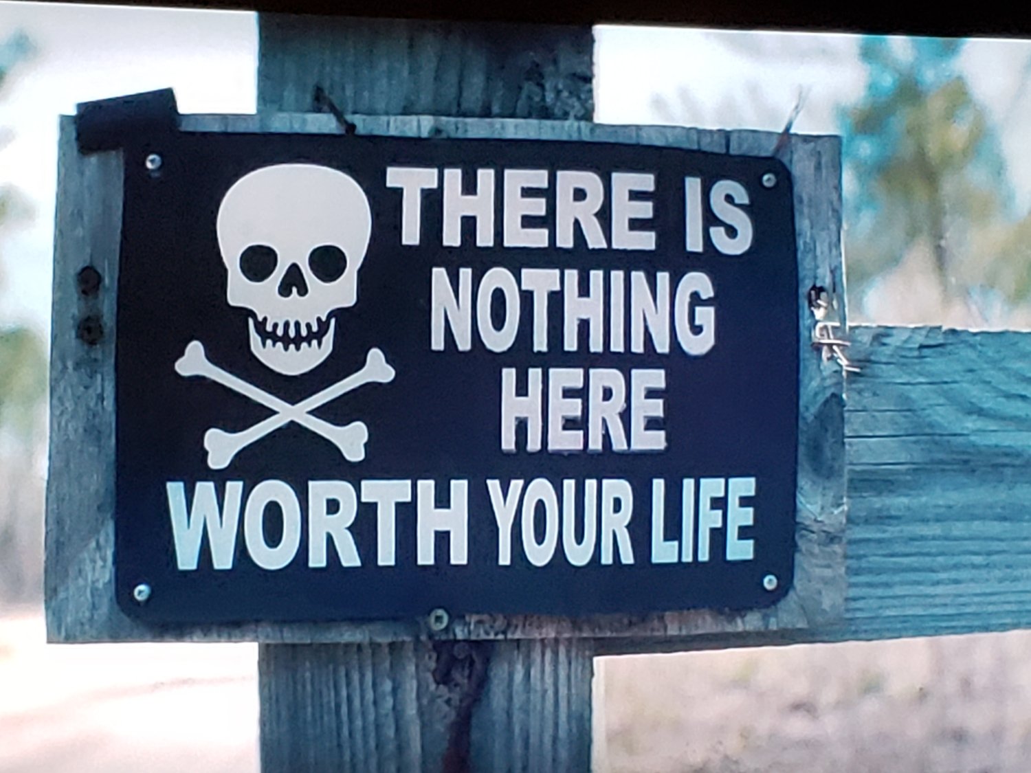 trufflebuttaboi's profile banner image