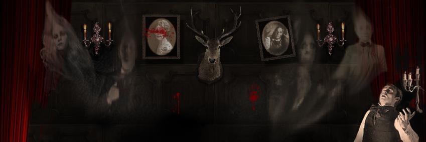 HauntedPictureHouse banner