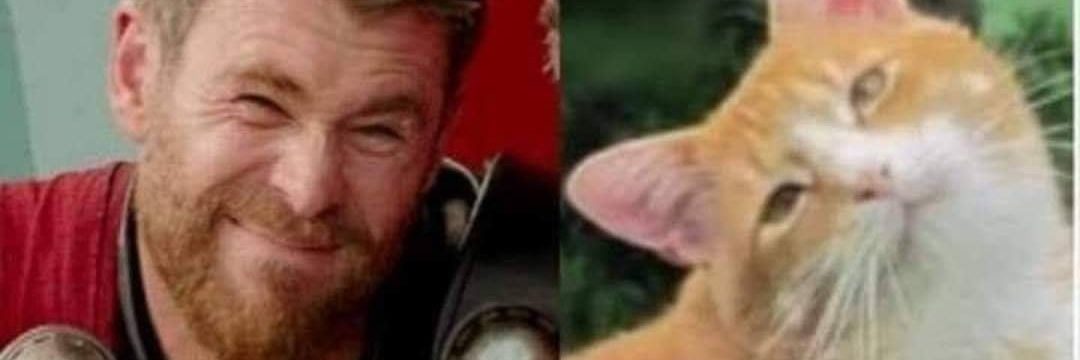 Handsome Devil loves you. banner