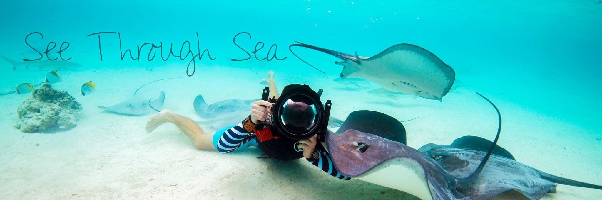 SeeThroughSea's profile banner image