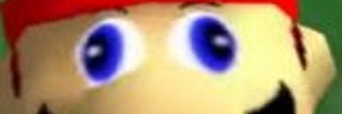 PINGAS banner