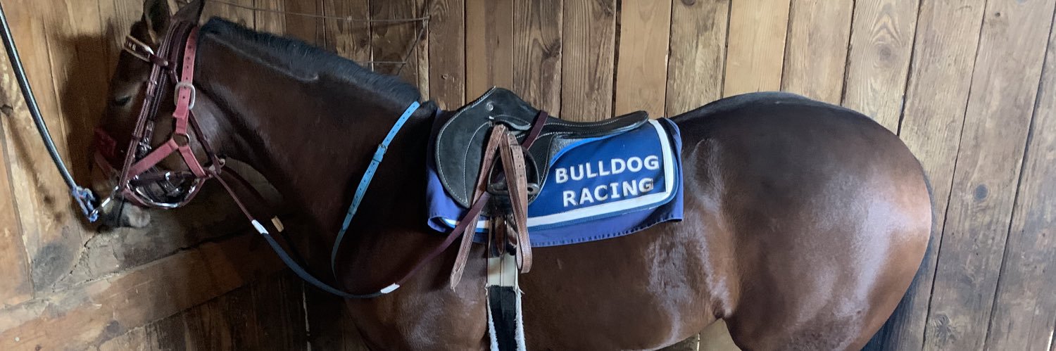 cmdawgs24's profile banner image