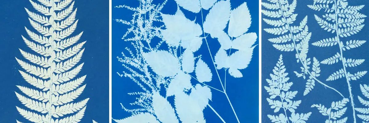 TonbridgeDaily banner