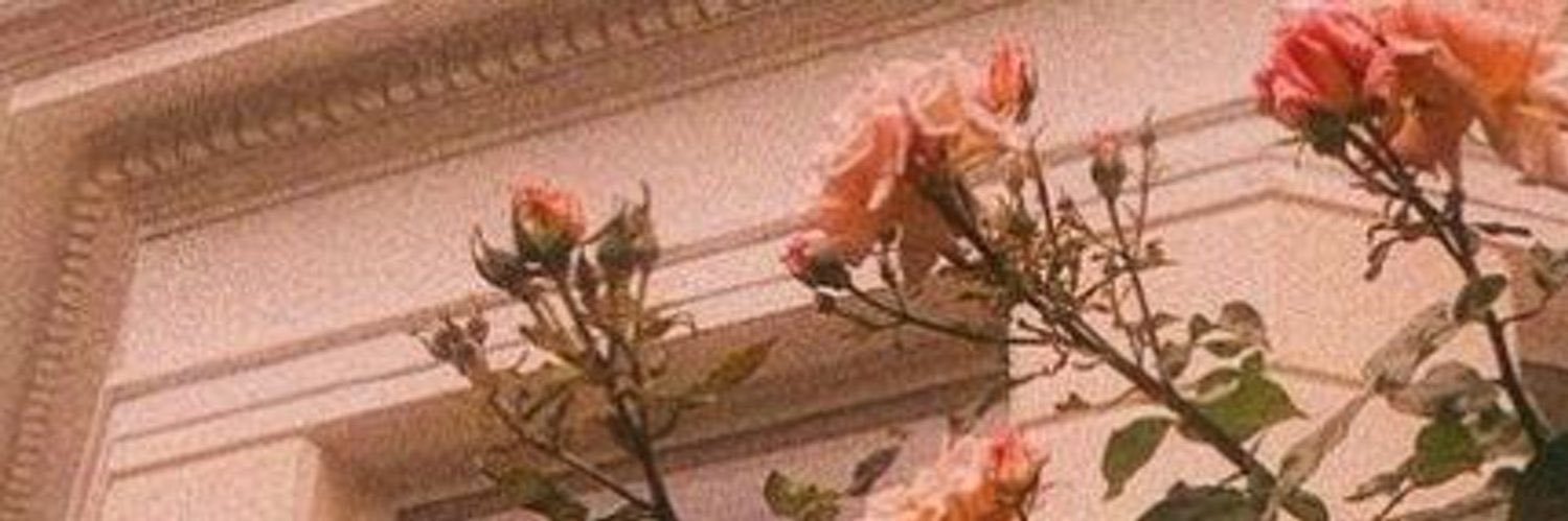 ljx51's profile banner image