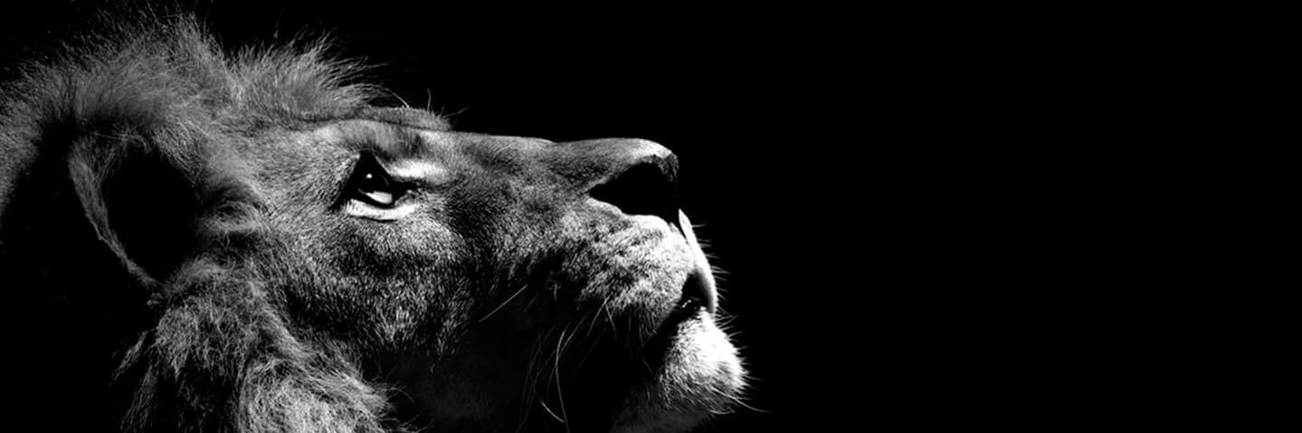 matheo_htb's profile banner image