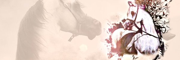 fars_h3 Profile Banner