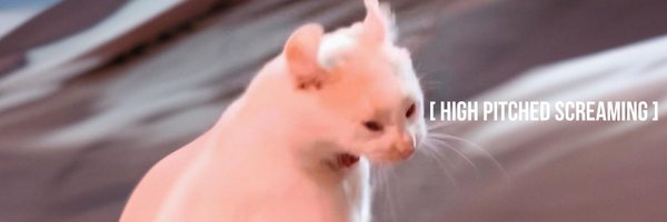 bbymae Profile Banner
