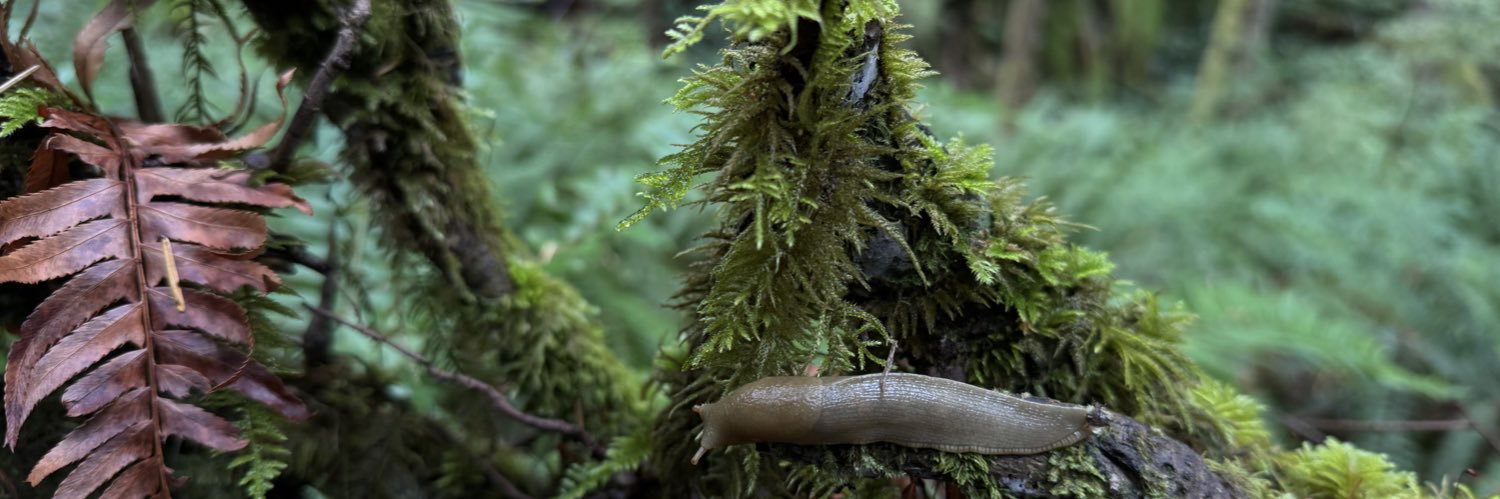 Matching Sweaters banner