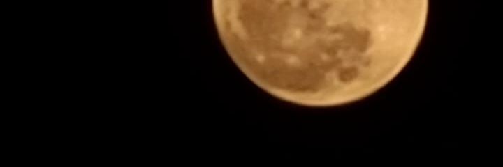 taogabyyy's profile banner image