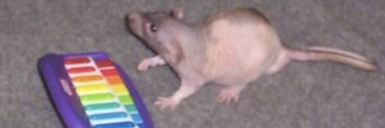 BellaSaville's profile banner image