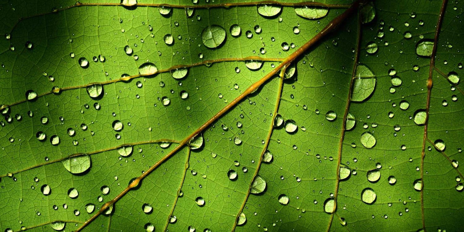 Sint-Martens-Latem banner