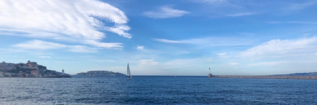 L banner