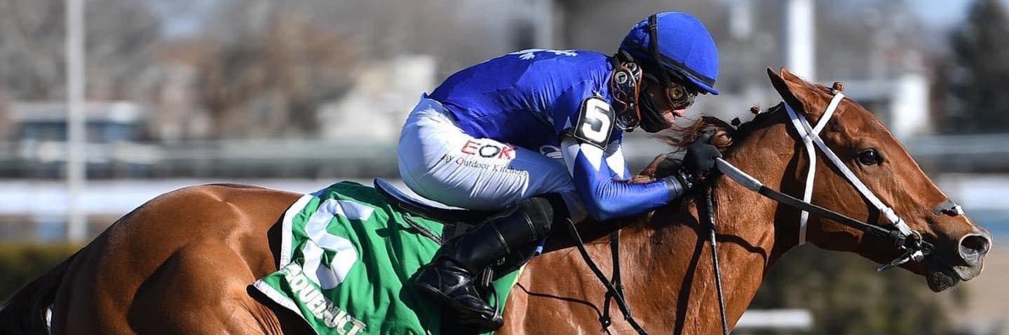 BlueLionRacing's profile banner image