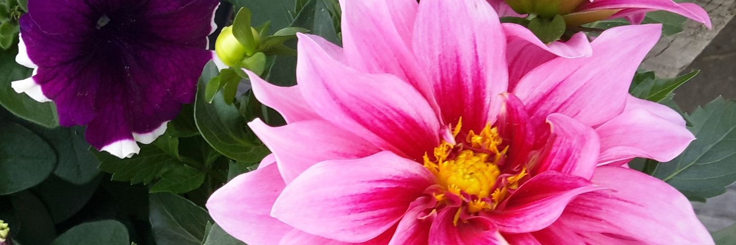 harrelld88's profile banner image