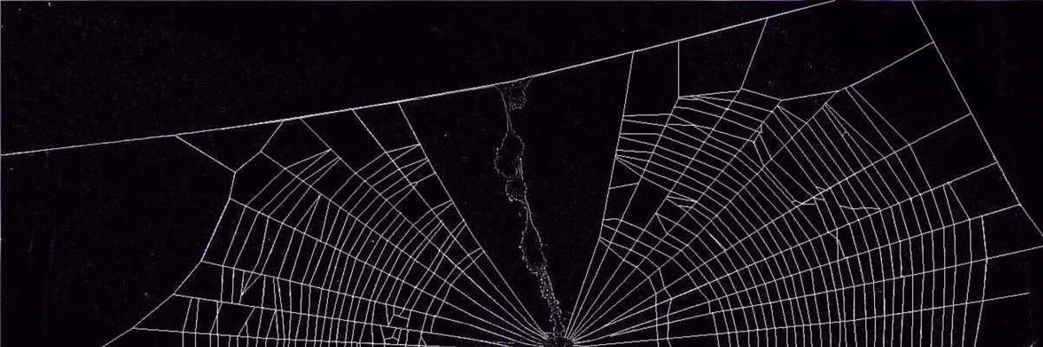 posie 🕷🪦🔪 banner