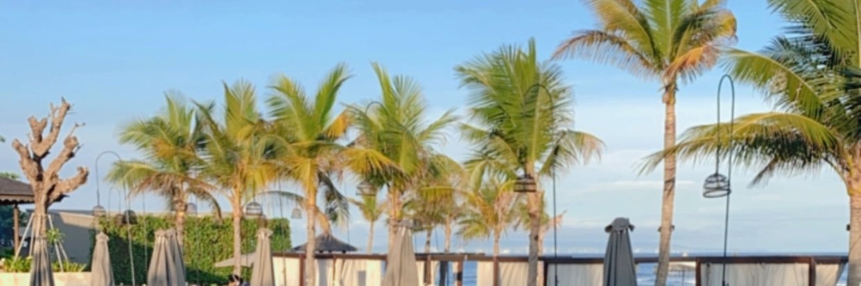 raacilz's profile banner image