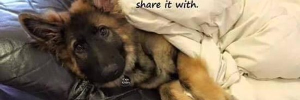 DogsRuleNC Profile Banner