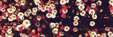 officialqueenv's profile banner image