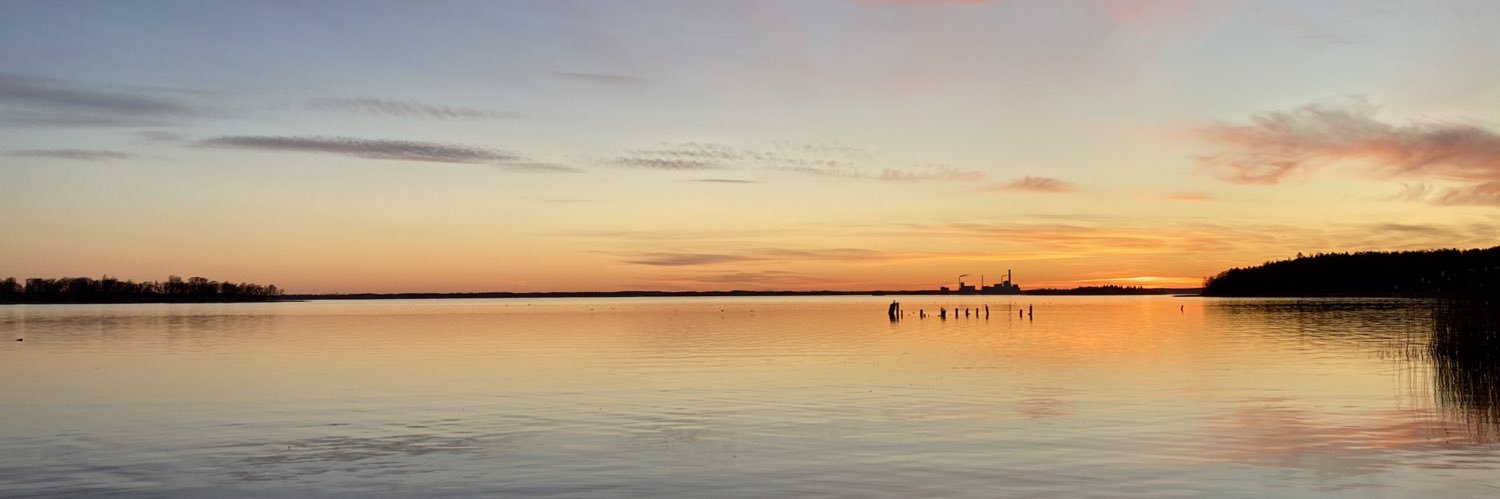 vansinnigsson's profile banner image