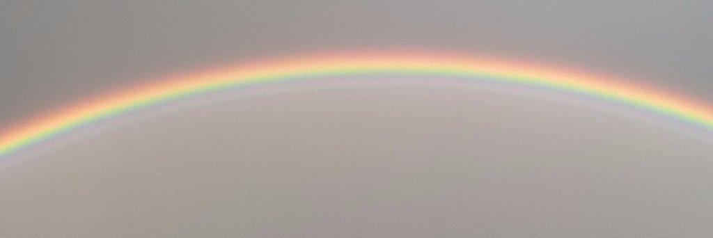 TransFitter's profile banner image