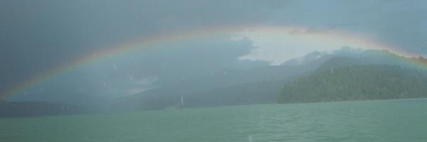 ReservoirWebs Profile Banner