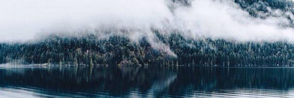 Paradise_Hell_'s profile banner image