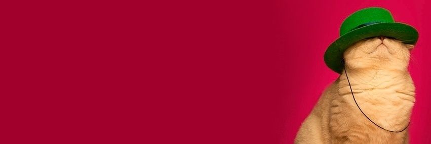 yasmi_fernandes's profile banner image