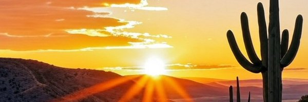 Memecoin_Cowboy Profile Banner