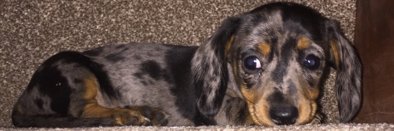 bennetteventing's profile banner image