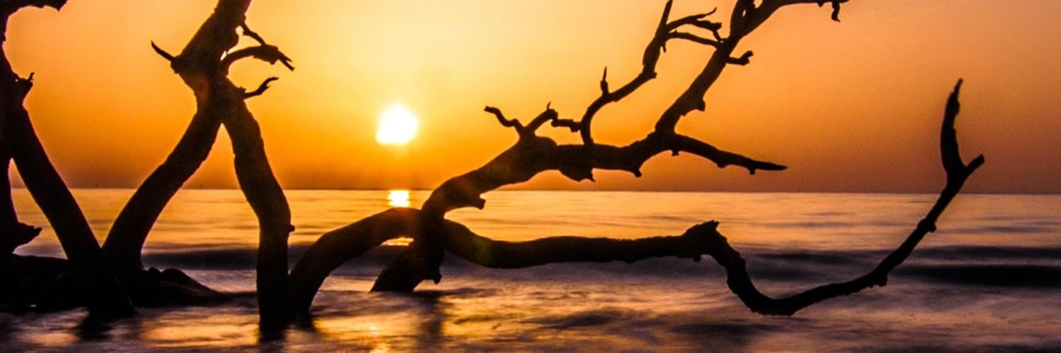 mmtr005's profile banner image