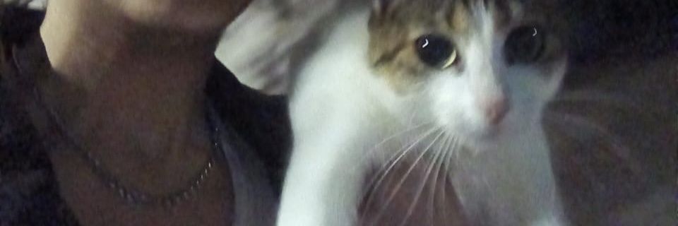 efimerolol's profile banner image