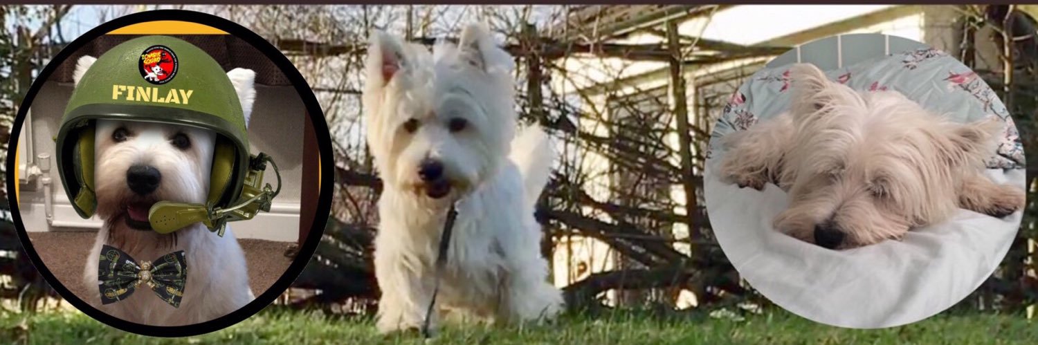 Finlay the Westie & his Mom's banner
